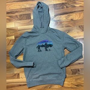 Patagonia Buffalo Graphic Hoodie Men’s Small Gray Recycled Cotton Fleece